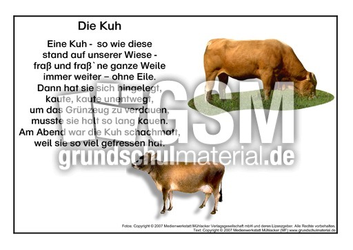 Kuh.pdf